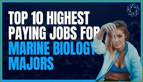 Lizzie Daly's Age: Celebrating the Marine Biologist's Impact